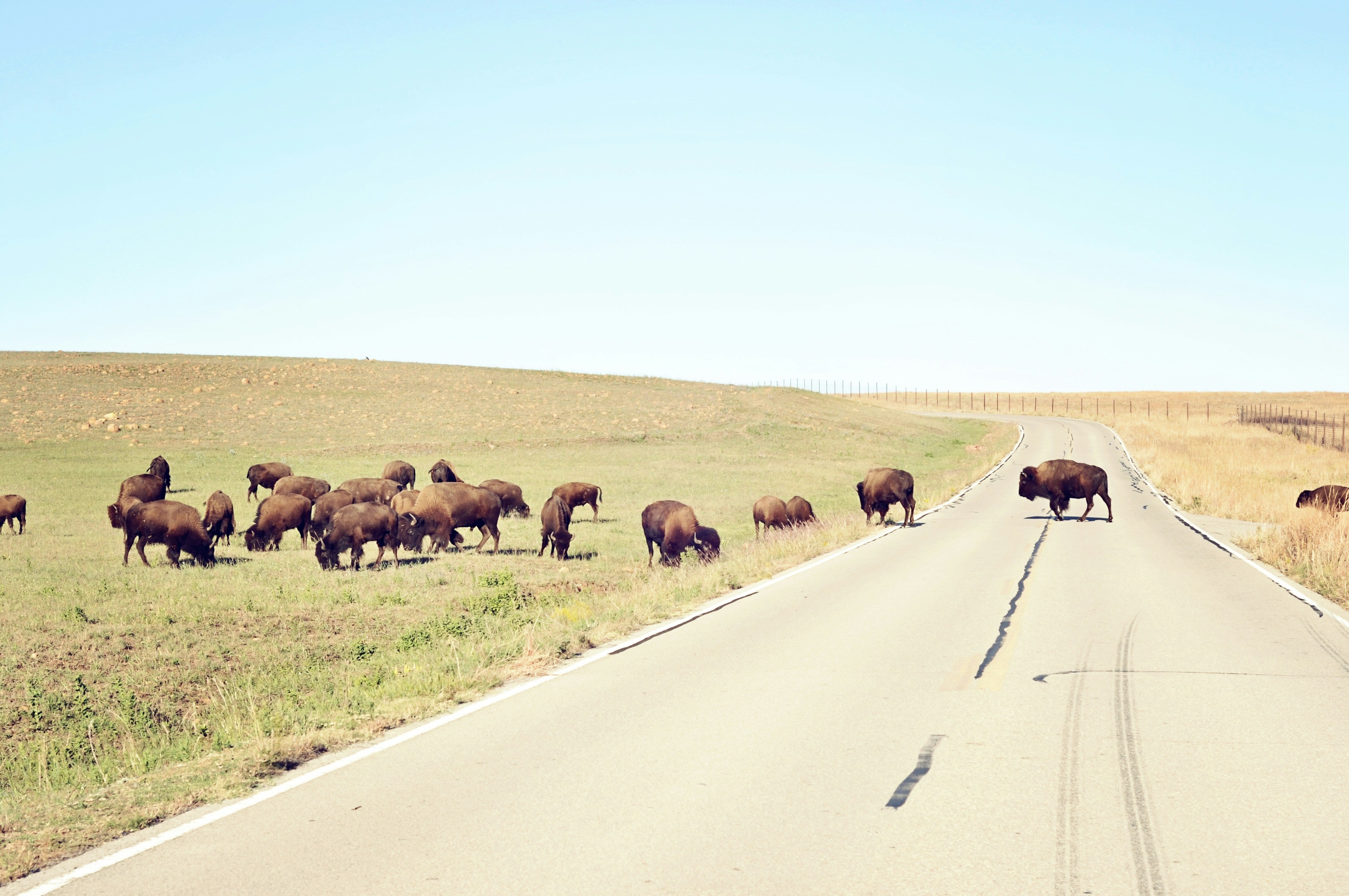 Oklahoma Real Estate Continuing Education Requirements