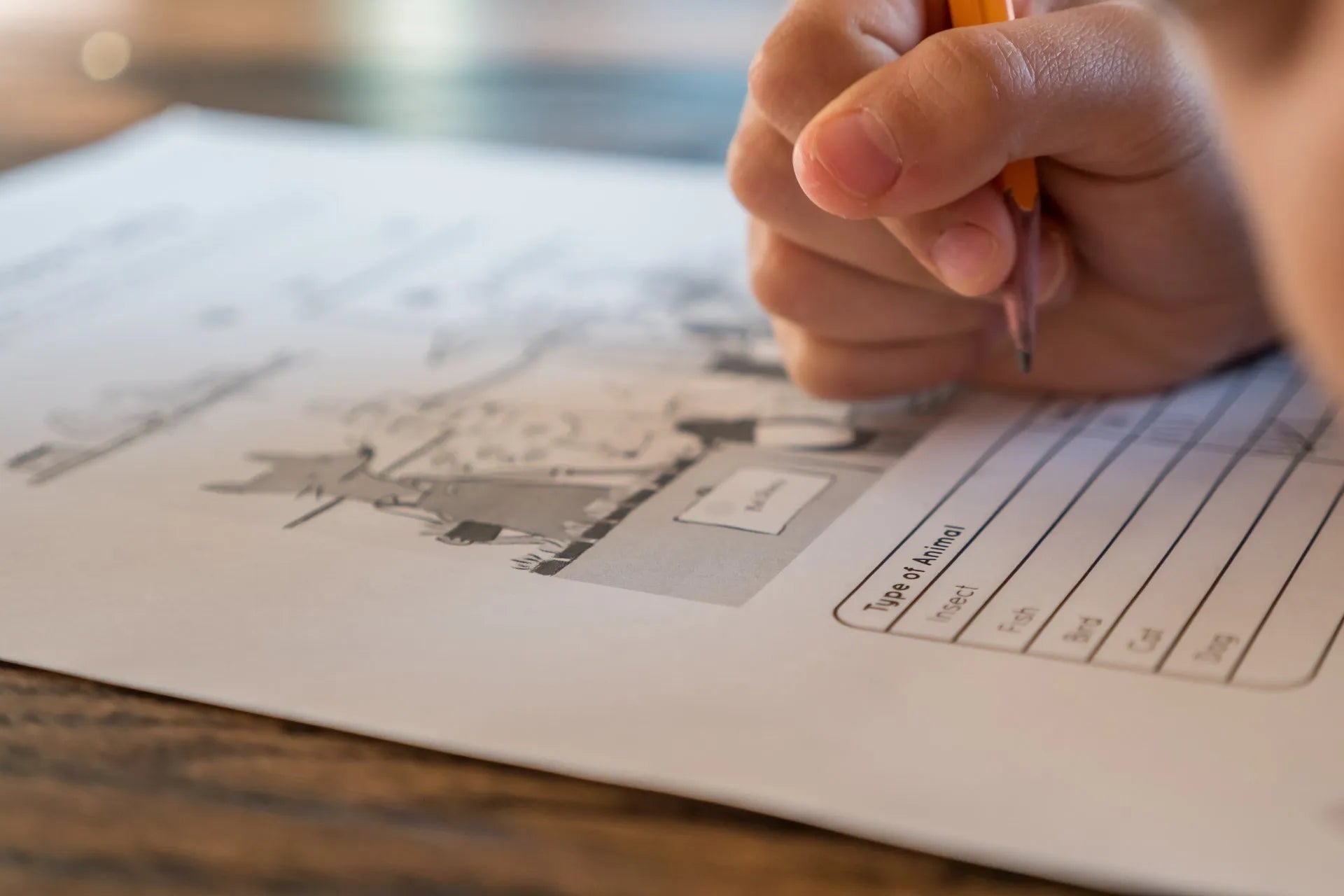 Mastering Multiple Choice Exams