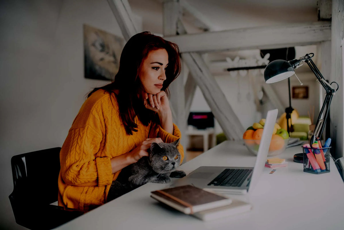 Perry Help Line Student Support FAQs – Login, Access & Course Help | Perry Real Estate ...
