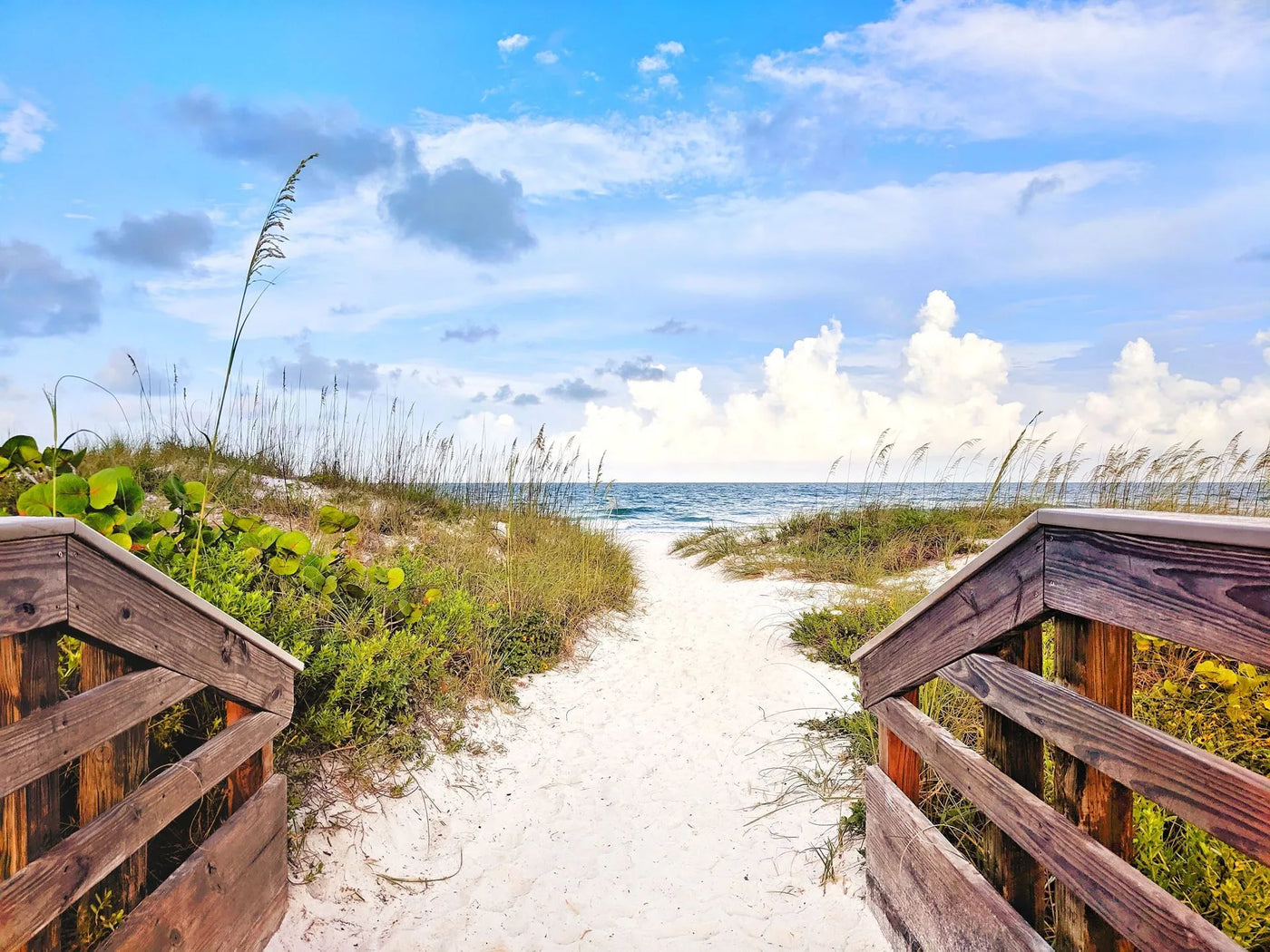 Get Your Florida Real Estate License Online