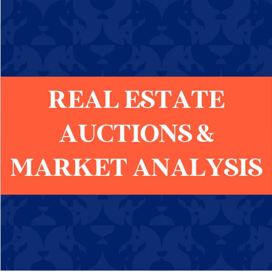 Real Estate Auctions & Market Analysis